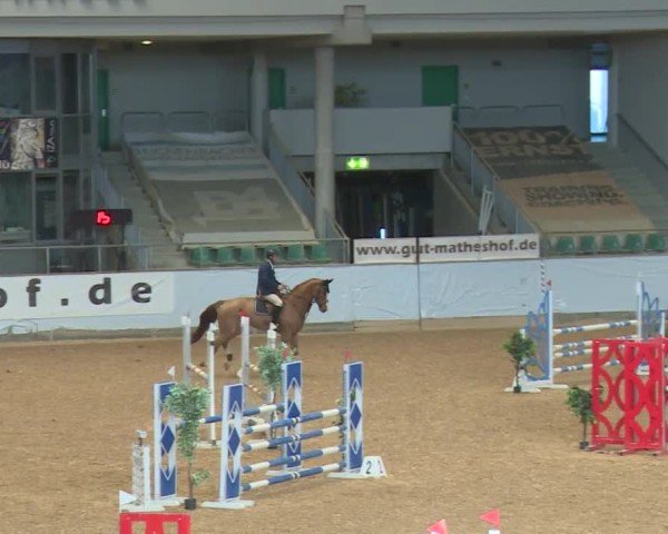 Reitturnier Kreuth/Opf. 2024
