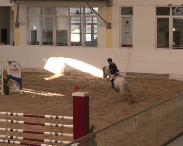Reitturnier Stadl-Paura 2024