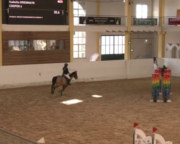Reitturnier Stadl-Paura 2024