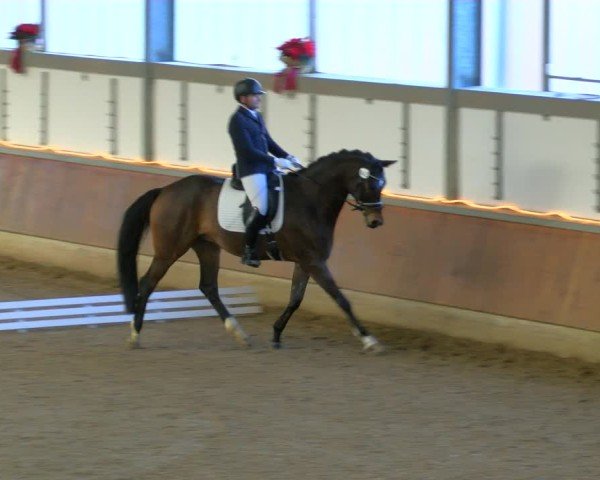 Reitturnier Südlohn-Oeding 2024