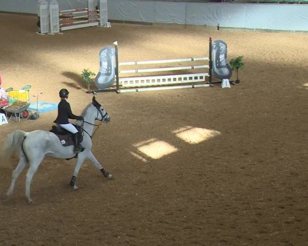 Reitturnier Kreuth/Opf. 2024