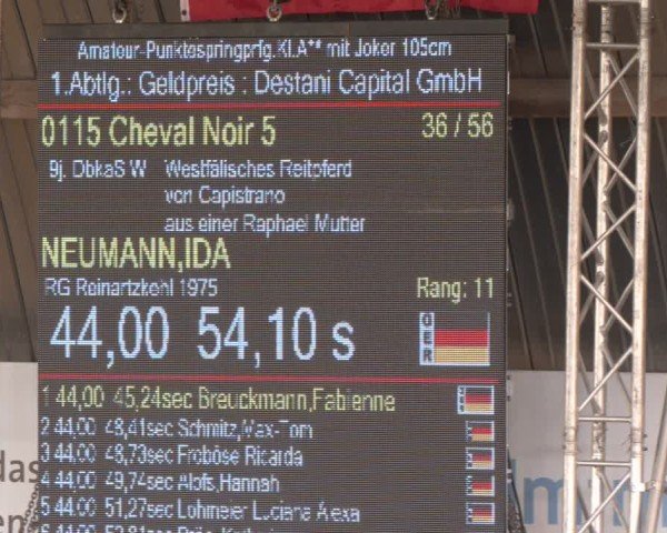 Reitturnier Essen-Stadtwald 2024