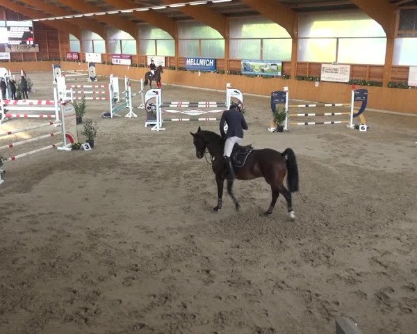 Springturnier Xanten - Reitanlage Miss 2021