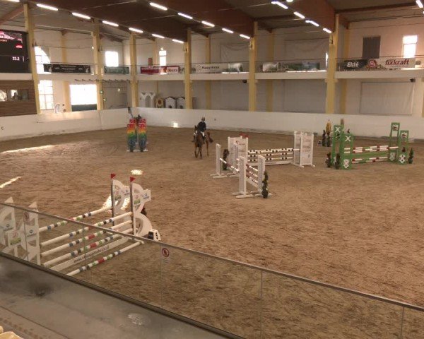 Reitturnier Stadl-Paura 2024