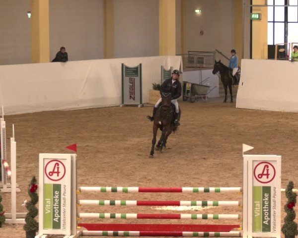 Reitturnier Stadl-Paura 2024