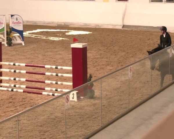 Reitturnier Stadl-Paura 2024