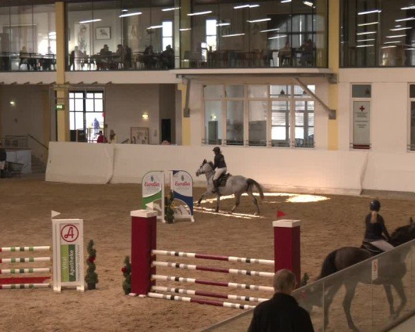 Reitturnier Stadl-Paura 2024