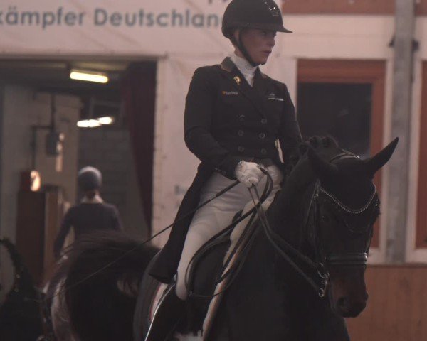 Reitturnier Appelhülsen 2024