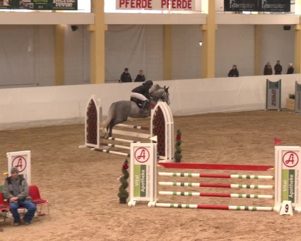Reitturnier Stadl-Paura 2024