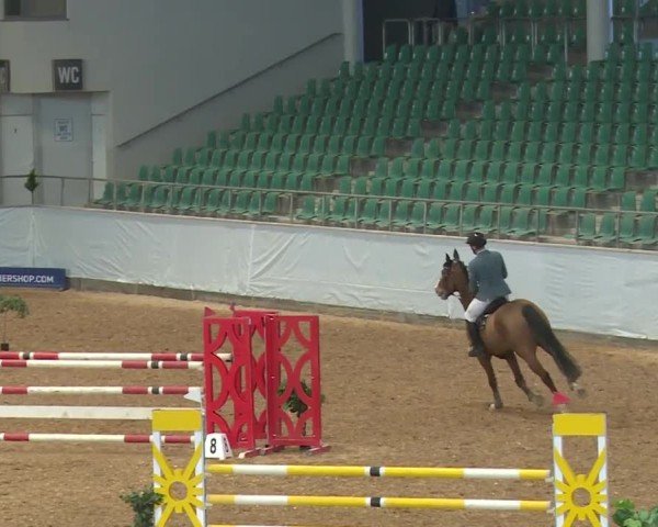 Reitturnier Kreuth/Opf. 2024