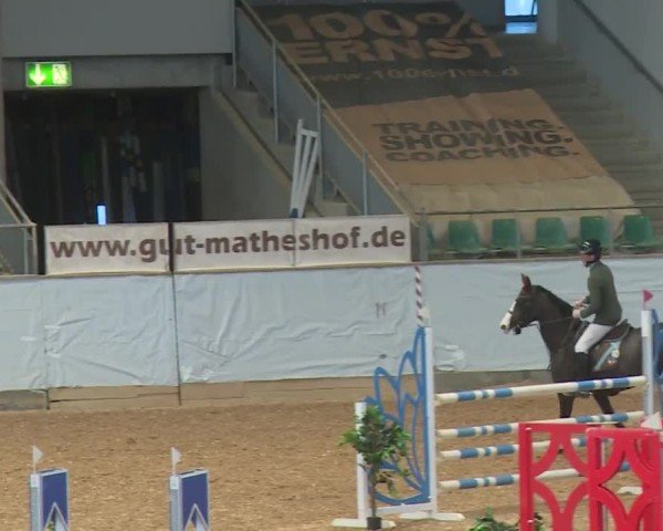 Reitturnier Kreuth/Opf. 2024
