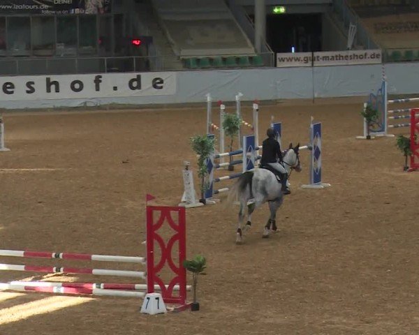 Reitturnier Kreuth/Opf. 2024