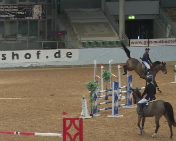 Reitturnier Kreuth/Opf. 2024