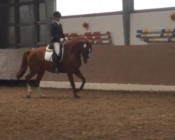 Datteln 2013