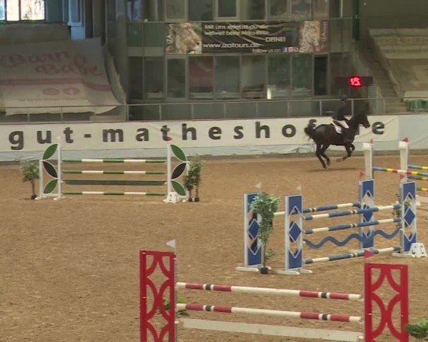 Reitturnier Kreuth/Opf. 2024