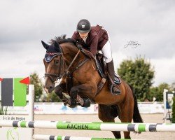 jumper Sahana Lb (Oldenburg, 2014, from Stakkato Gold)