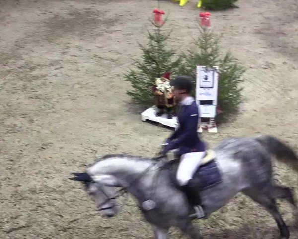 Reitturnier Leck 2024