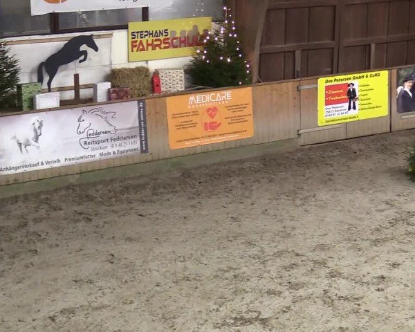 Reitturnier Leck 2024