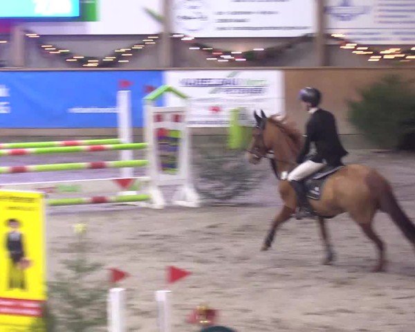 Reitturnier Leck 2024