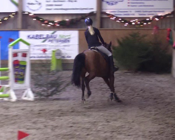 Reitturnier Leck 2024