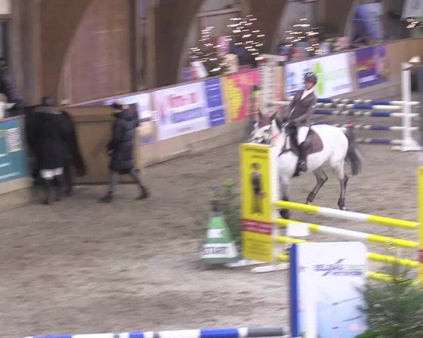 Reitturnier Leck 2024