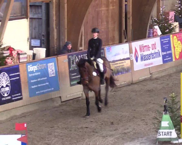 Reitturnier Leck 2024