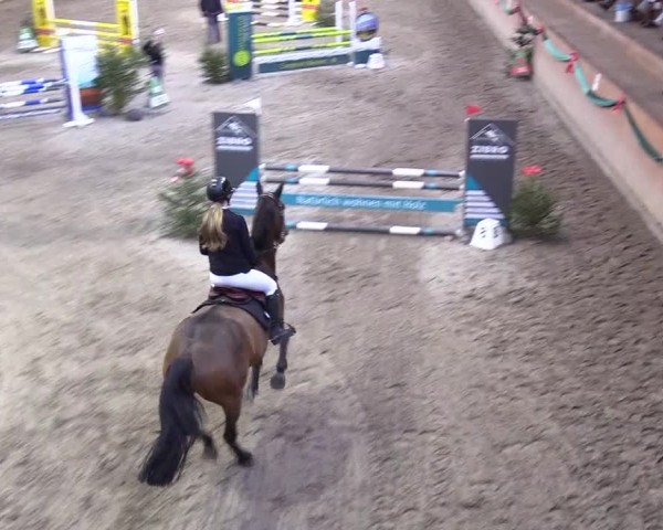 Reitturnier Leck 2024