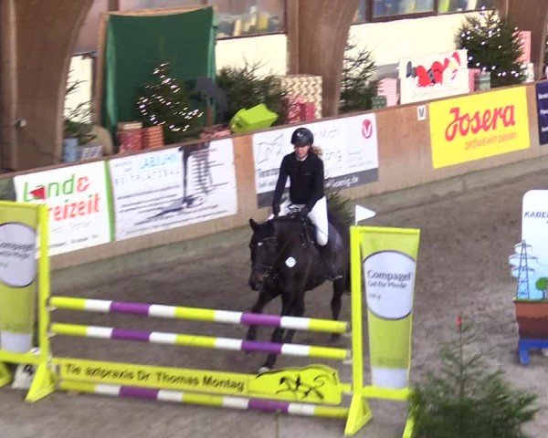 Reitturnier Leck 2024