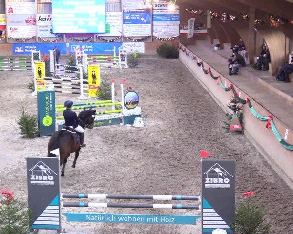 Reitturnier Leck 2024