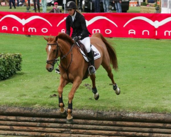 jumper Shakira Fontaine D'o (Selle Français, 2006, from Crown Z)