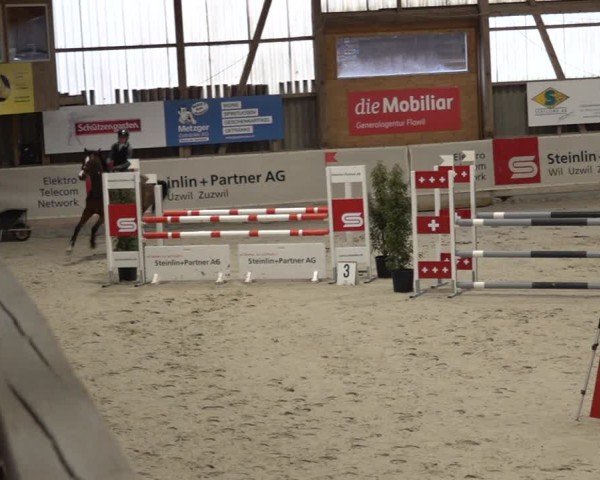 Reitturnier Henau 2024