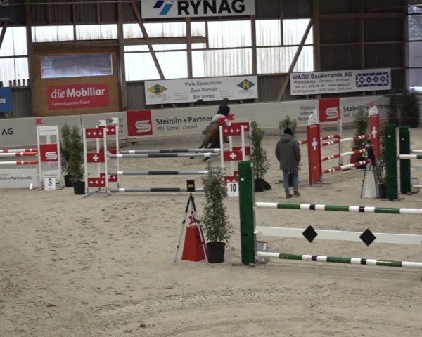Reitturnier Henau 2024