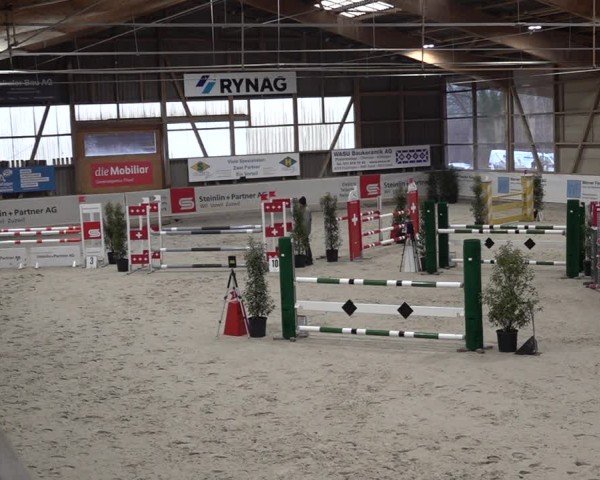 Reitturnier Henau 2024