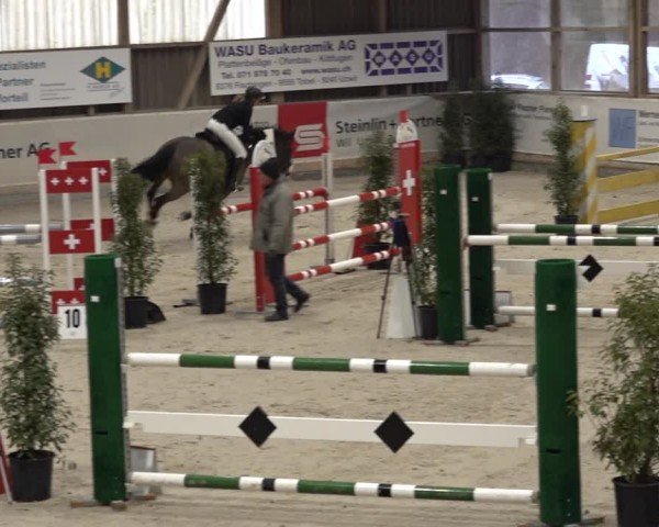 Reitturnier Henau 2024