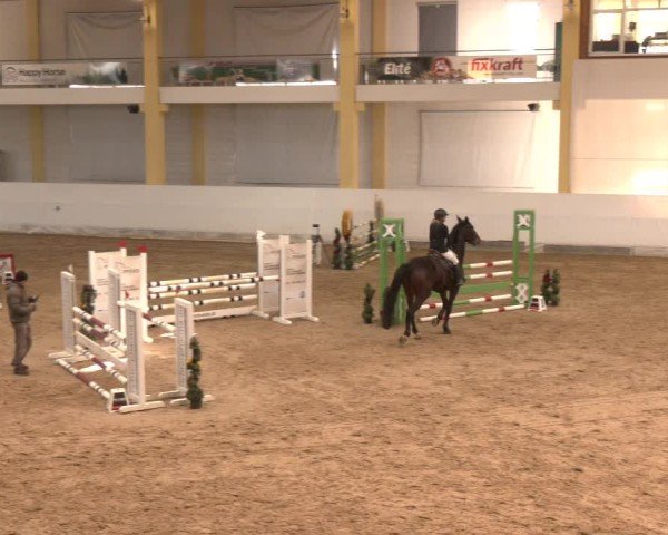 Reitturnier Stadl-Paura 2024