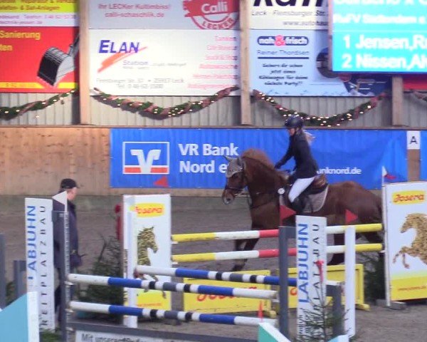 Reitturnier Leck 2024
