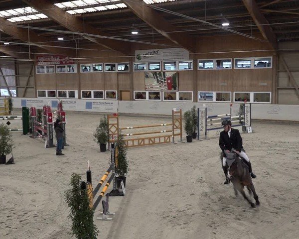Reitturnier Henau 2024