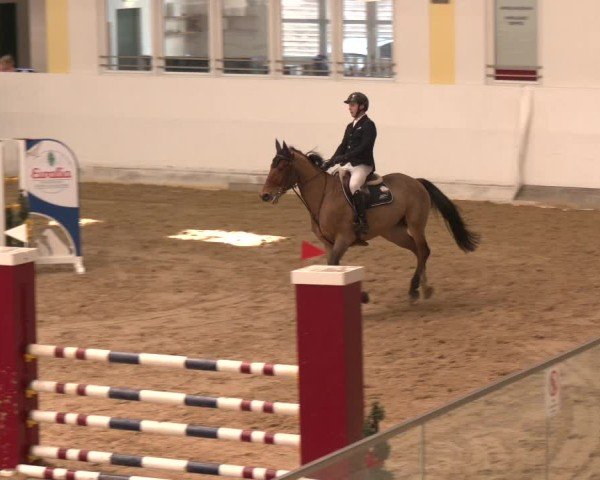 Reitturnier Stadl-Paura 2024