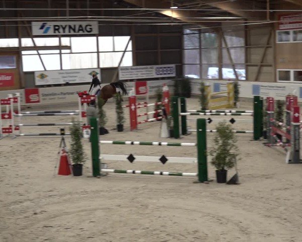 Reitturnier Henau 2024