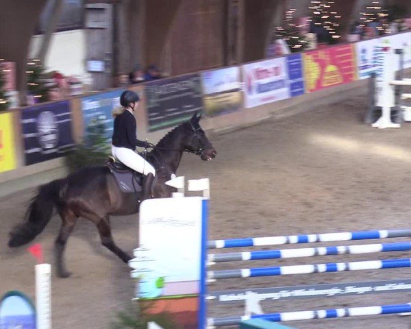 Reitturnier Leck 2024