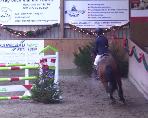 Reitturnier Leck 2024