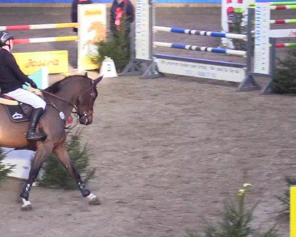 Reitturnier Leck 2024