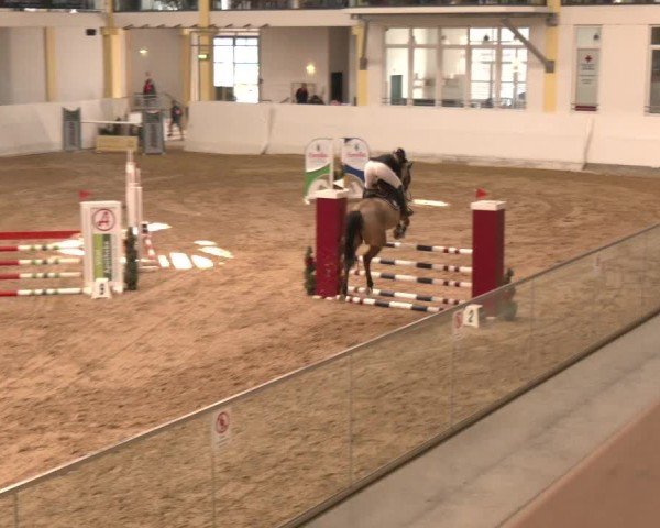 Reitturnier Stadl-Paura 2024