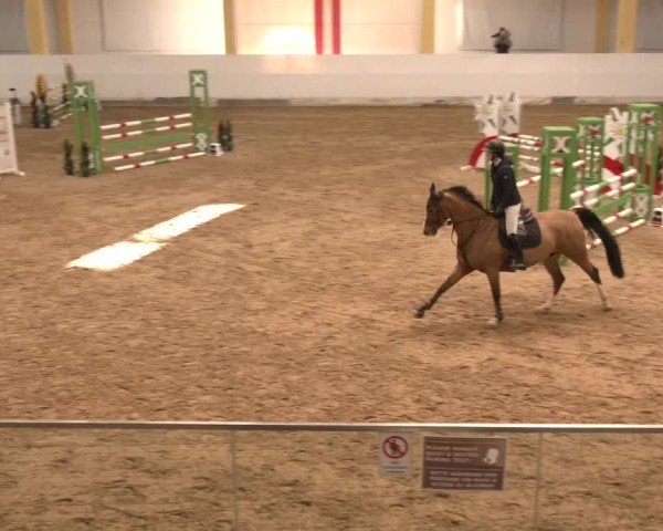 Reitturnier Stadl-Paura 2024