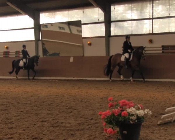 Datteln 2013