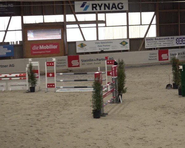 Reitturnier Henau 2024