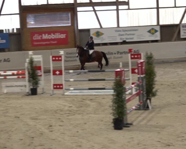 Reitturnier Henau 2024