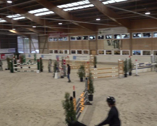 Reitturnier Henau 2024