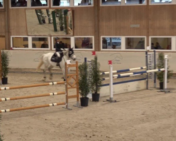 Reitturnier Henau 2024