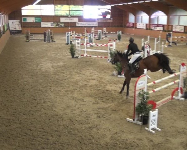 Springturnier Xanten - Reitanlage Miss 2021